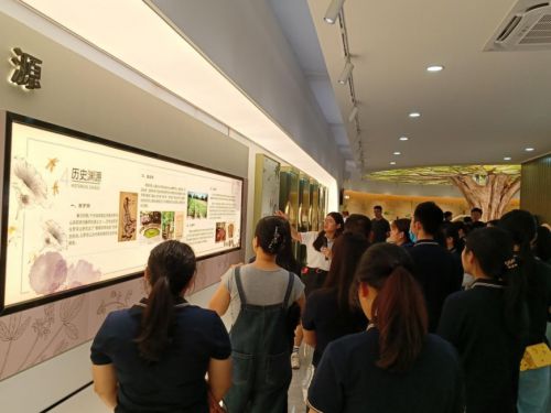 中医药文化润基层——记惠州三支一扶支医人员罗浮山国药宣传教育基地之行